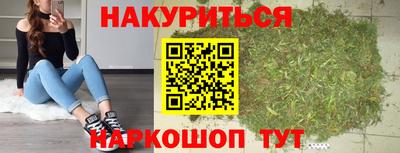 индика Беслан