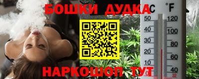 индика Беслан