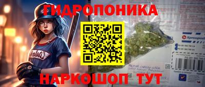 индика Беслан