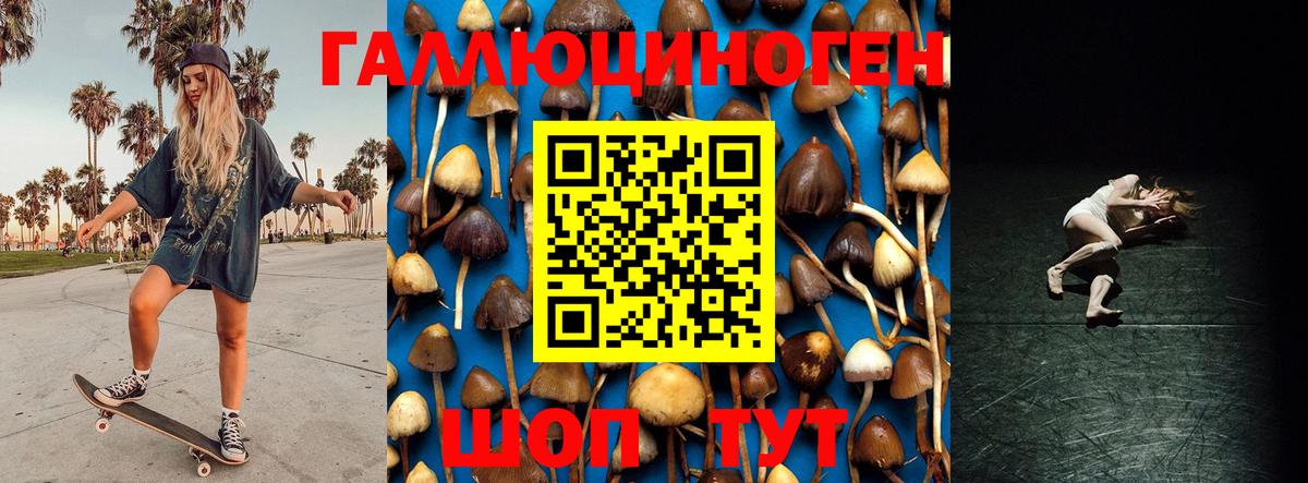 где продают наркотики  Вход с VPN  Ипатово  Псилоцибиновые грибы Psilocybine cubensis 